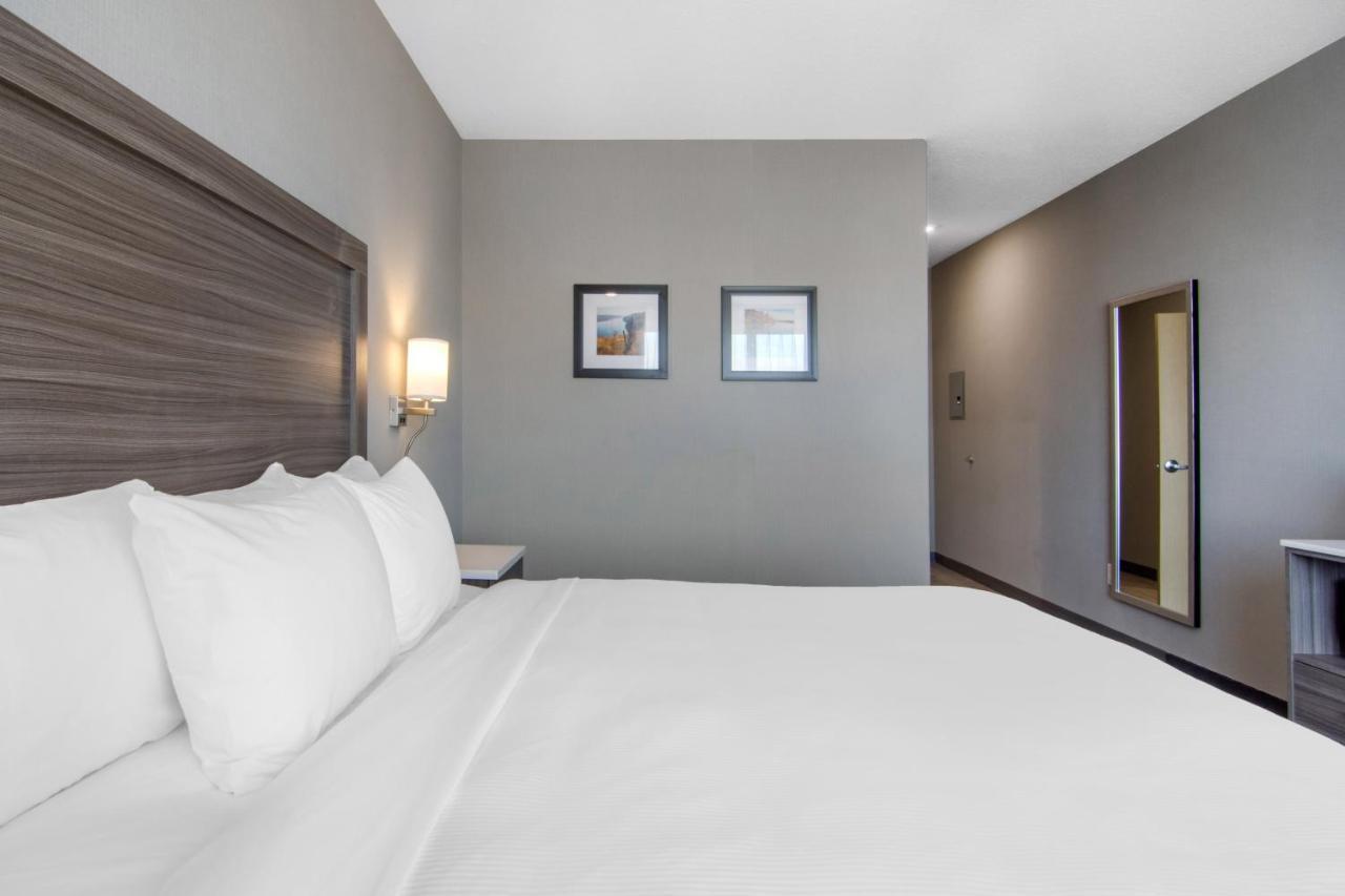 Comfort Inn & Suites North Battleford Esterno foto